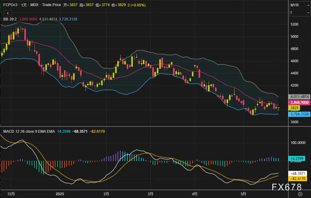 【XM官网】布林带收口预警!棕榈油即将选择终极方向?(图2) 【XM官网】布林带收口预警!棕榈油即将选择终极方向?(图2)